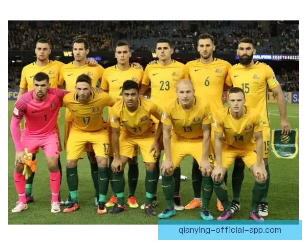 世界杯胜负预测指南 精准分析助你赢得竞猜投注大奖