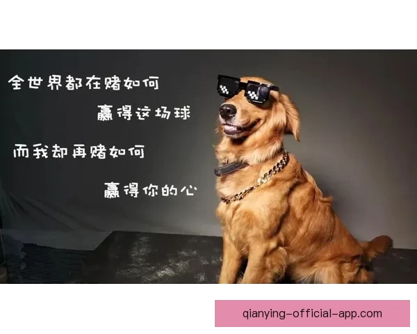 掌握世界杯买球预测核心技巧提升赛果判断与投注技巧全攻略 ⚽📊